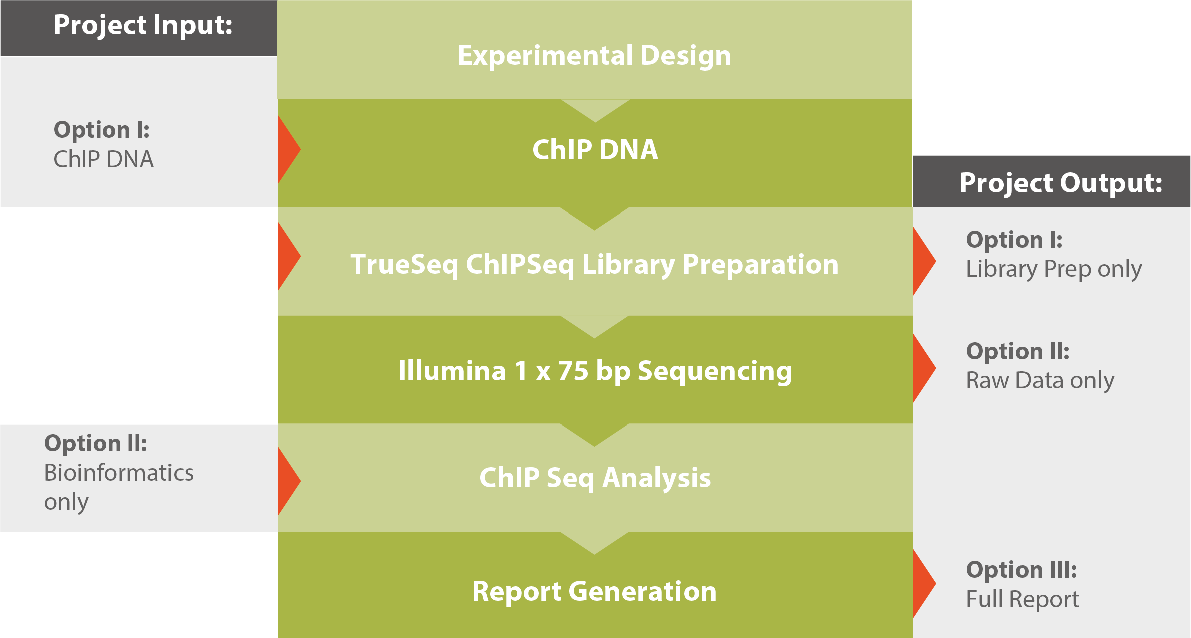 chip sequencing microsynth ch chip sequencing